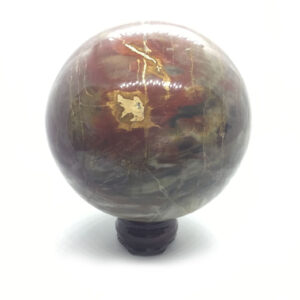 Fine Petrified Wood Sphere - 2130 Grams